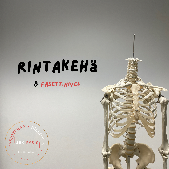 rintakeh-fasettinivel